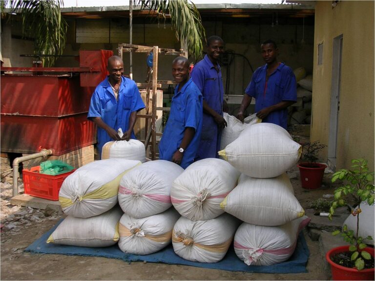 Appui aux filières de recyclage des déchets plastique (2008-2010), Kinshasa — photo 4