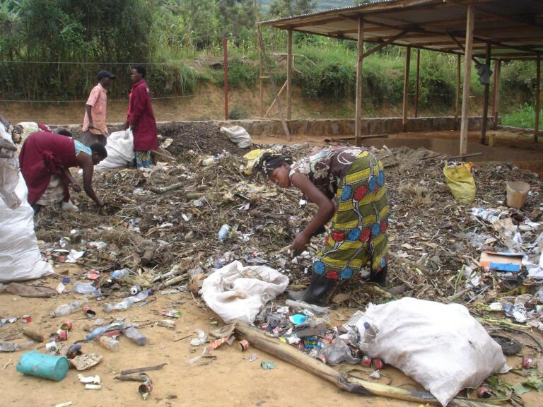 Appui à la création d’une filière de production d’un combustible vert (briquette), Rwanda