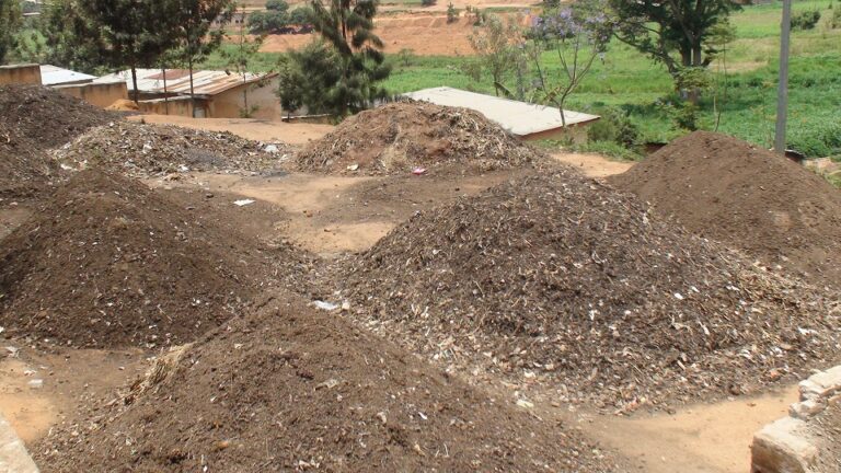 Appui à la création d’une filière de production d’un combustible vert (briquette), Rwanda — photo 2