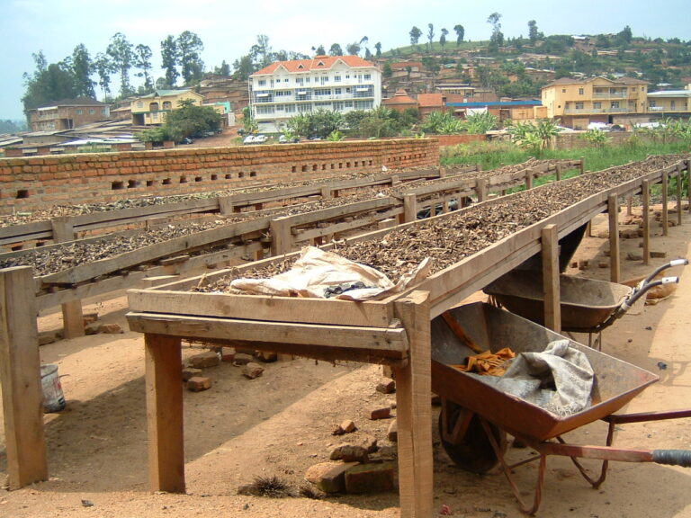 Appui à la création d’une filière de production d’un combustible vert (briquette), Rwanda — photo 3