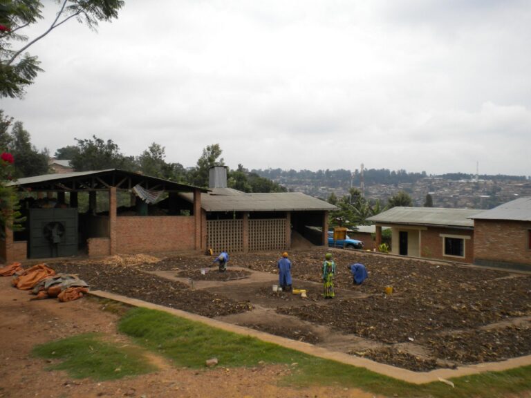Appui à la création d’une filière de production d’un combustible vert (briquette), Rwanda — photo 6