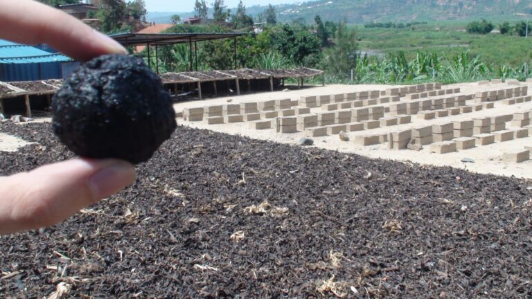 Appui à la création d’une filière de production d’un combustible vert (briquette), Rwanda — photo 4