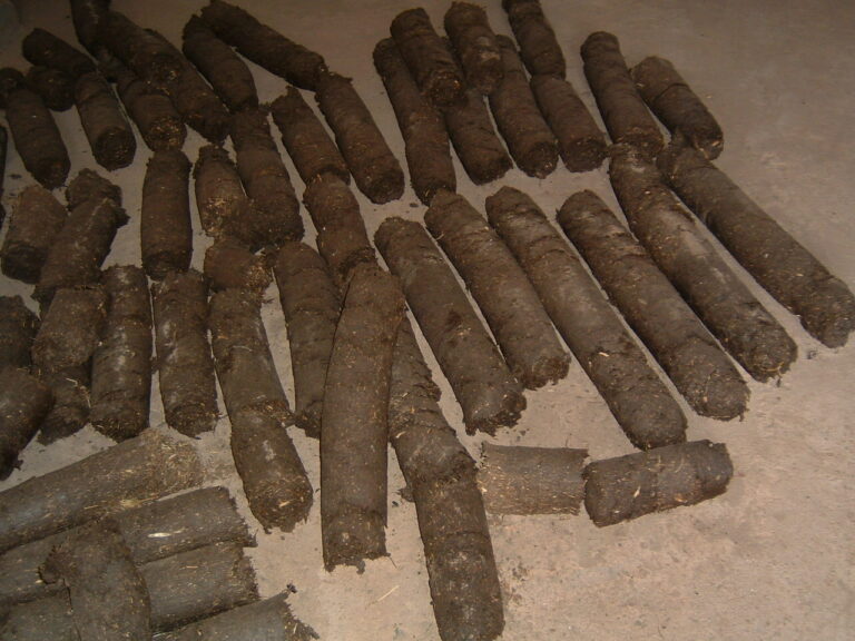 Appui à la création d’une filière de production d’un combustible vert (briquette), Rwanda — photo 5