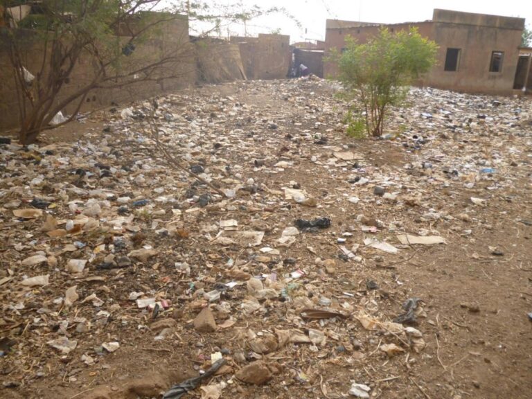 Processus de pérennisation des services de gestion des déchets ménagers au Burkina Faso