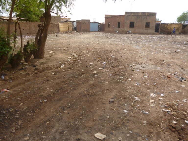 Processus de pérennisation des services de gestion des déchets ménagers au Burkina Faso — photo 1