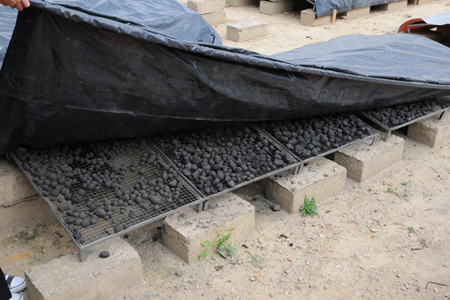 Appui à la création d’une filière de production d’un combustible vert (boulet), Rwanda