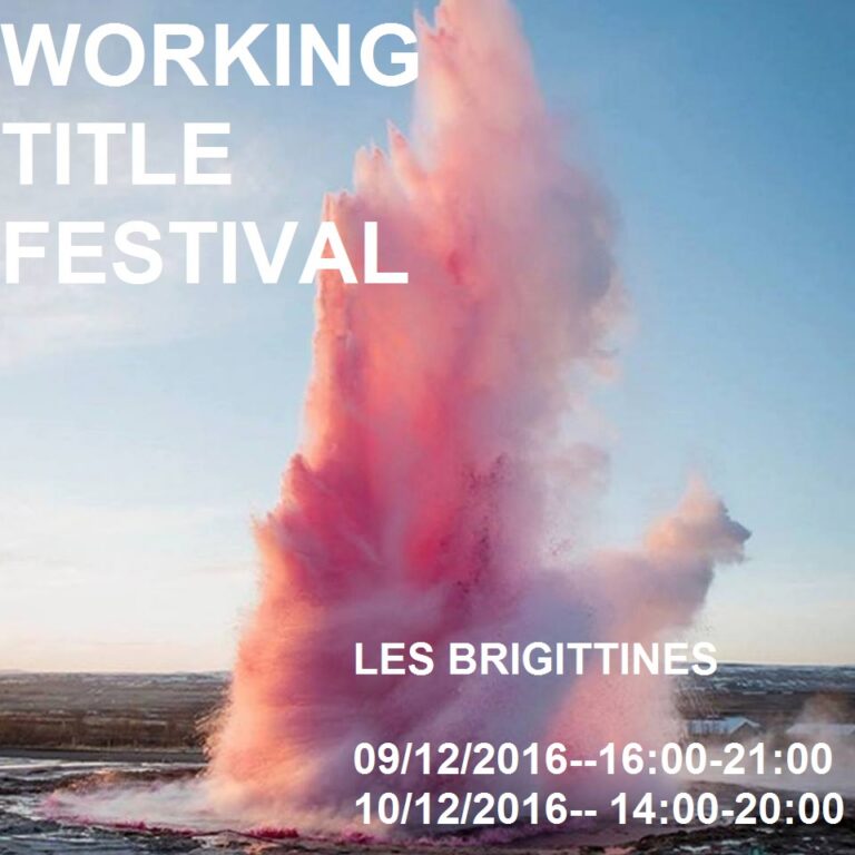 Working Title Festival, Les Brigittines 09/12 et 10/12