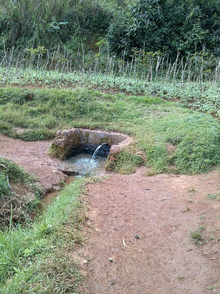 Assainir 10 sources du groupement Lurhala (RDC) — photo 2
