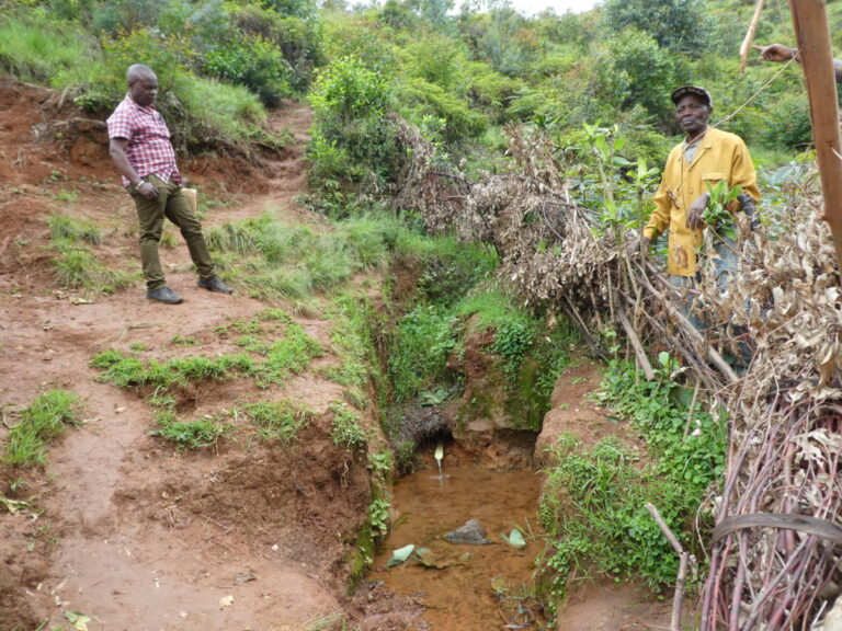 Assainir 10 sources du groupement Lurhala (RDC)