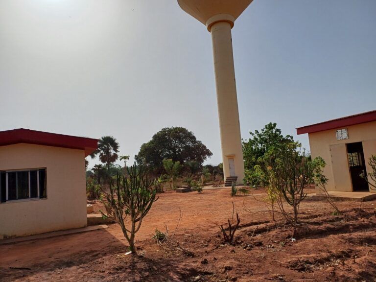 Renforcement du service de distribution d’eau potable à Adéane (Casamance, Sénégal) — photo 4